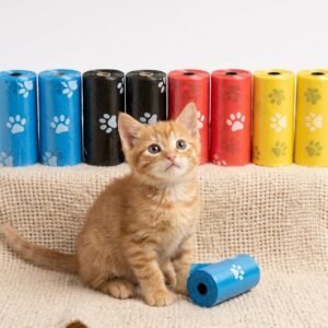 Kit de Paseo