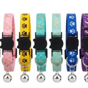 Collar Con Broche Antiasfixia Super Seguro Para Tu Mascota